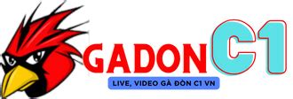 gachoic1.vip.đắk puer|TRỰC TIẾP GÀ ĐÒN C1 HÔM NAY .